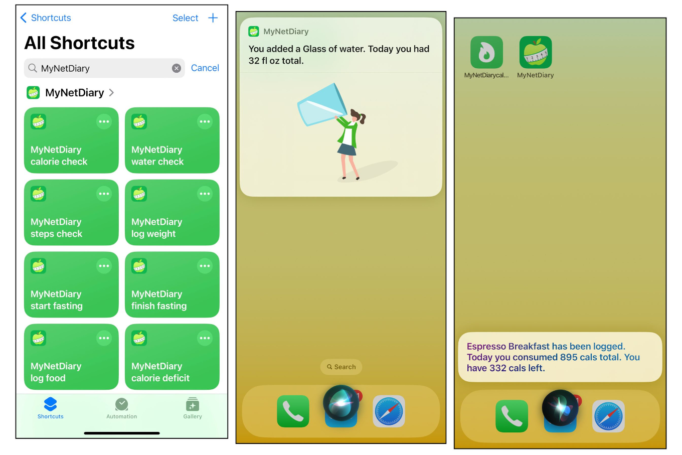 Using Siri with MyNetDiary